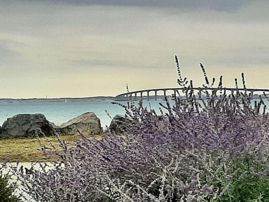 Delicieux Moment De Detente Au Coeur De Saint Martin De Re Eksteriør bilde